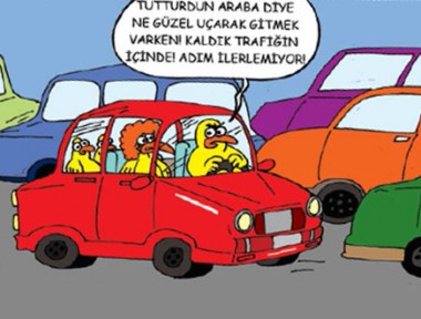 hayvanat-bahcesi6